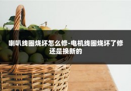 喇叭线圈烧坏怎么修-电机线圈烧坏了修还是换新的