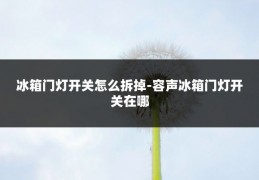冰箱门灯开关怎么拆掉-容声冰箱门灯开关在哪