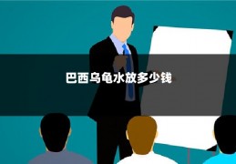 巴西乌龟水放多少钱