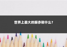 世界上最大的鲸亦称什么？