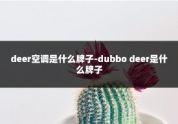 deer空调是什么牌子-dubbo deer是什么牌子