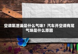 空调氟泄漏是什么气味？汽车开空调有尾气味是什么原因