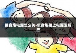 低音炮电源怎么关-低音炮接上电源没反应