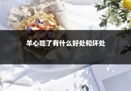 羊心吃了有什么好处和坏处