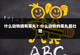 什么动物拥有睾丸?什么动物的睾丸最壮阳