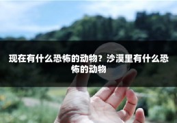 现在有什么恐怖的动物?沙漠里有什么恐怖的动物