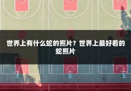 世界上有什么蛇的照片?世界上最好看的蛇照片