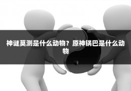 神谜莫测是什么动物?原神锅巴是什么动物