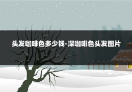 头发咖啡色多少钱-深咖啡色头发图片