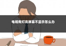 电视有灯亮屏幕不显示怎么办
