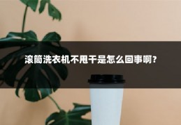 滚筒洗衣机不甩干是怎么回事啊？