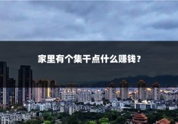 家里有个集干点什么赚钱？