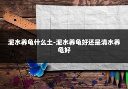 泥水养龟什么土-泥水养龟好还是清水养龟好