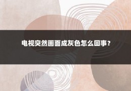 电视突然画面成灰色怎么回事?