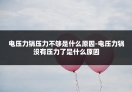 电压力锅压力不够是什么原因-电压力锅没有压力了是什么原因