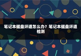 笔记本磁盘坏道怎么办？笔记本磁盘坏道检测