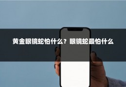 黄金眼镜蛇怕什么？眼镜蛇最怕什么