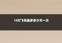 15打飞机最多多少天一次