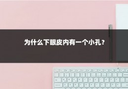 为什么下眼皮内有一个小孔?