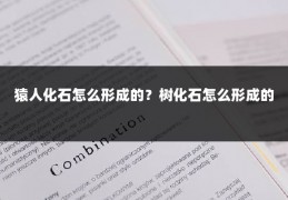 猿人化石怎么形成的？树化石怎么形成的