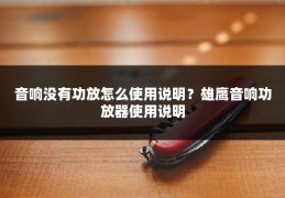 音响没有功放怎么使用说明？雄鹰音响功放器使用说明