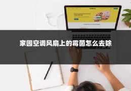 家园空调风扇上的霉菌怎么去除