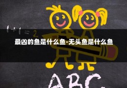 最凶的鱼是什么鱼-无头鱼是什么鱼