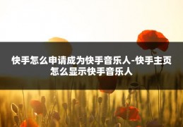 快手怎么申请成为快手音乐人-快手主页怎么显示快手音乐人