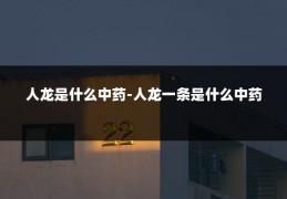 人龙是什么中药-人龙一条是什么中药