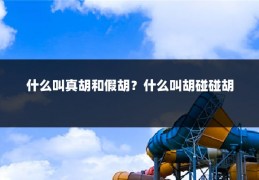 什么叫真胡和假胡?什么叫胡碰碰胡