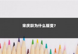 宋庆龄为什么叛变？