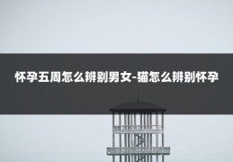 怀孕五周怎么辨别男女-猫怎么辨别怀孕