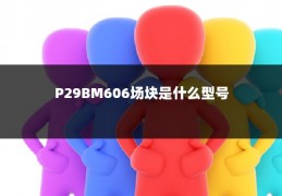 P29BM606场块是什么型号
