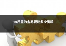 14斤重的金毛要吃多少狗粮