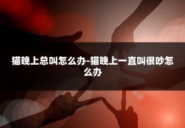 猫晚上总叫怎么办-猫晚上一直叫很吵怎么办