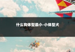什么狗体型最小-小体型犬