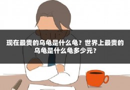 现在最贵的乌龟是什么龟?世界上最贵的乌龟是什么龟多少元?