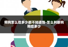 狗狗怎么吃多少都不知道饱-怎么判断狗狗吃多少