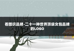 看图识品牌-二十一种世界顶级女包品牌的LOGO