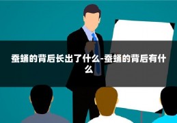 蚕蛹的背后长出了什么-蚕蛹的背后有什么