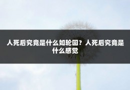 人死后究竟是什么如轮回?人死后究竟是什么感觉