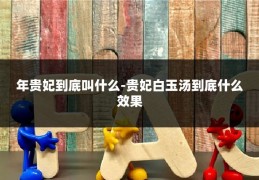 年贵妃到底叫什么-贵妃白玉汤到底什么效果