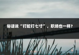 俗话说“打蛇打七寸”，职场也一样？