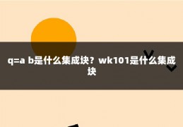 q=a b是什么集成块？wk101是什么集成块