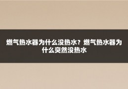 燃气热水器为什么没热水？燃气热水器为什么突然没热水