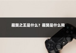 藏獒之王是什么？藏獒是什么狗
