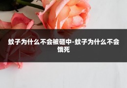 蚊子为什么不会被砸中-蚊子为什么不会饿死