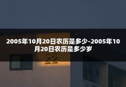 2005年10月20日农历是多少-2005年10月20日农历是多少岁