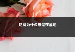 蛇窝为什么总是在墓地