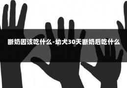 断奶因该吃什么-幼犬30天断奶后吃什么